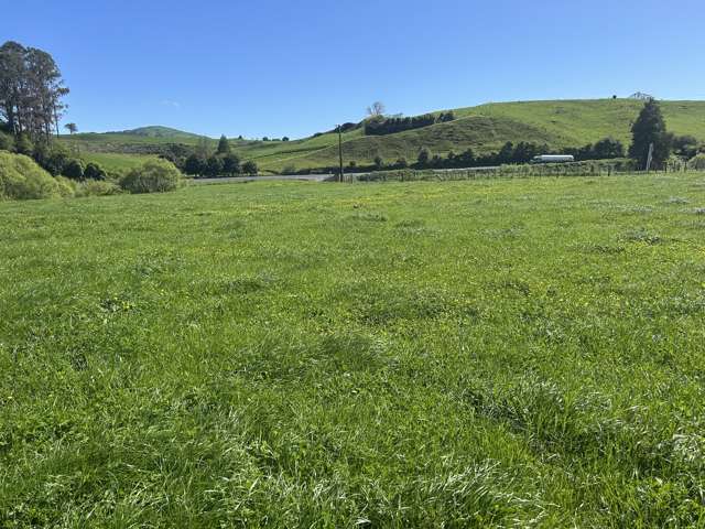 Lot 1, 51 Kiwi Road Pirongia_1