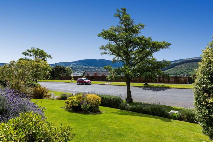 214 Larnach Road Waverley_3