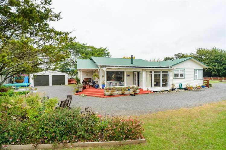 60 Johnson Street Bulls_9