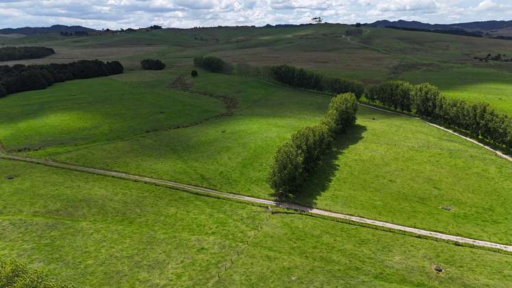 374 Rakauwahia Road Taheke_11