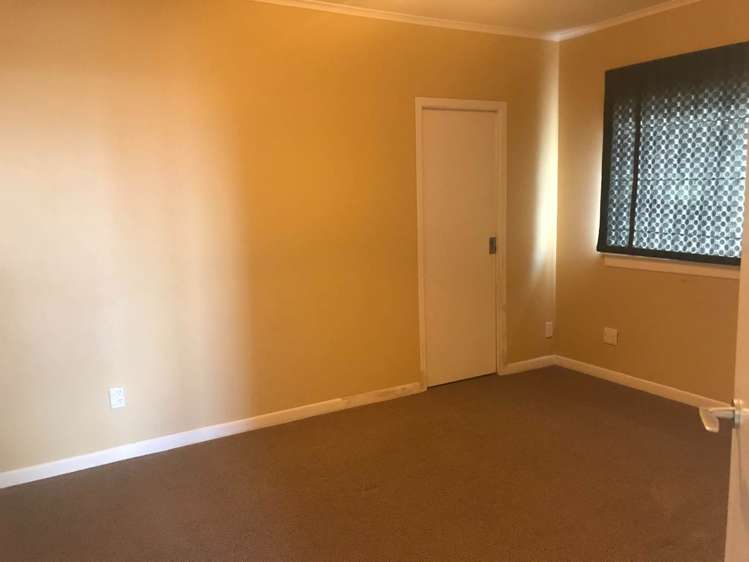 81 Carlton Street Hillsborough_12