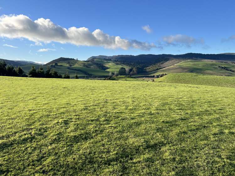 295 Stirling Road Winton Surrounds_8