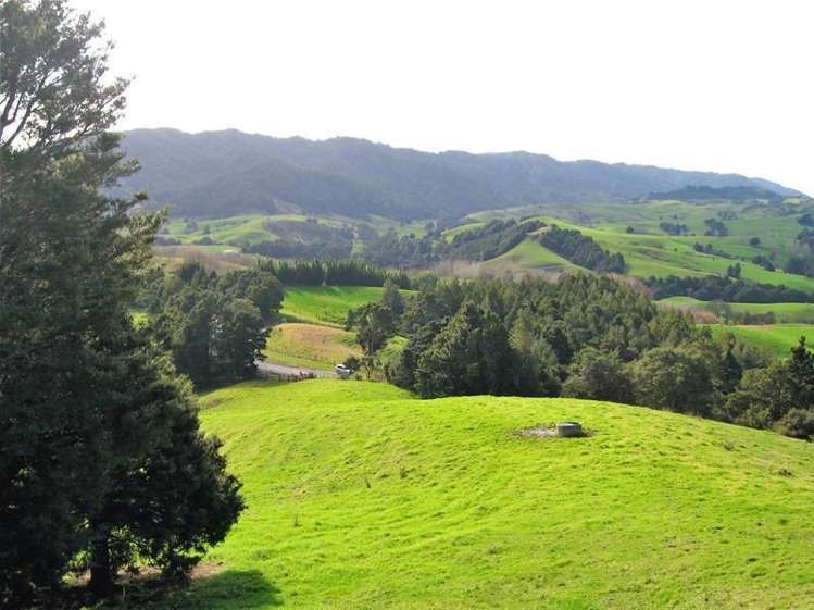 248 Swamp Road Mareretu_12