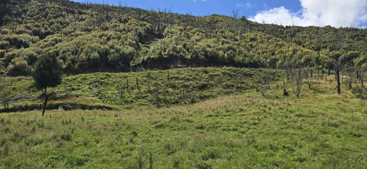 2109 Okau Road Ahititi_26