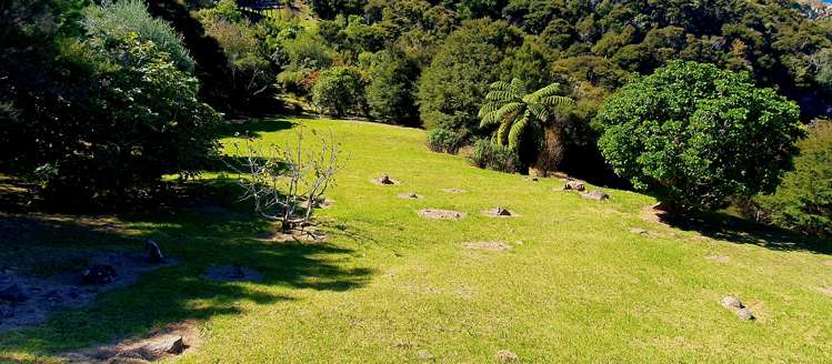 15 Kowhai Place Tuateawa_5