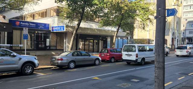 203 Willis Street Te Aro_1