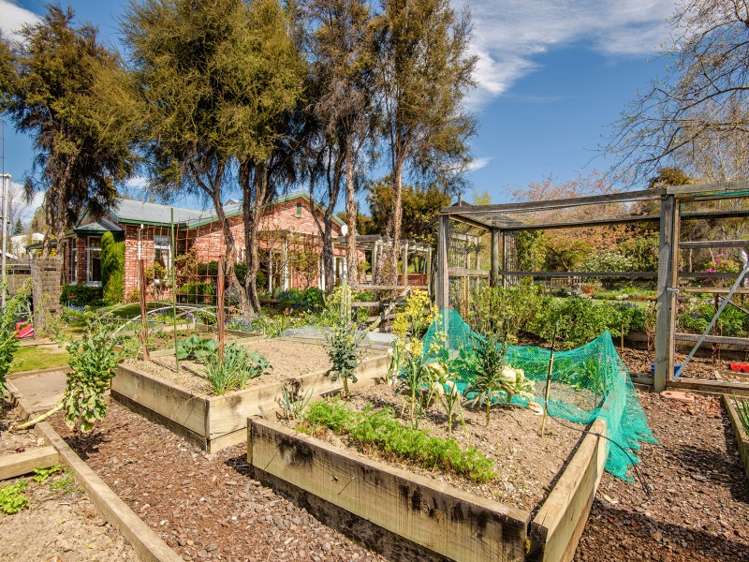 54 Bernard Road Albert Town_14