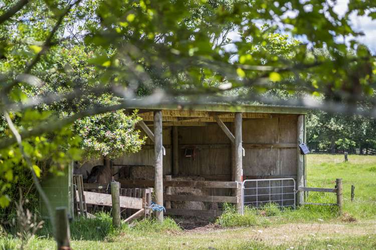 1217 Whangaripo Valley Road Whangaripo_35