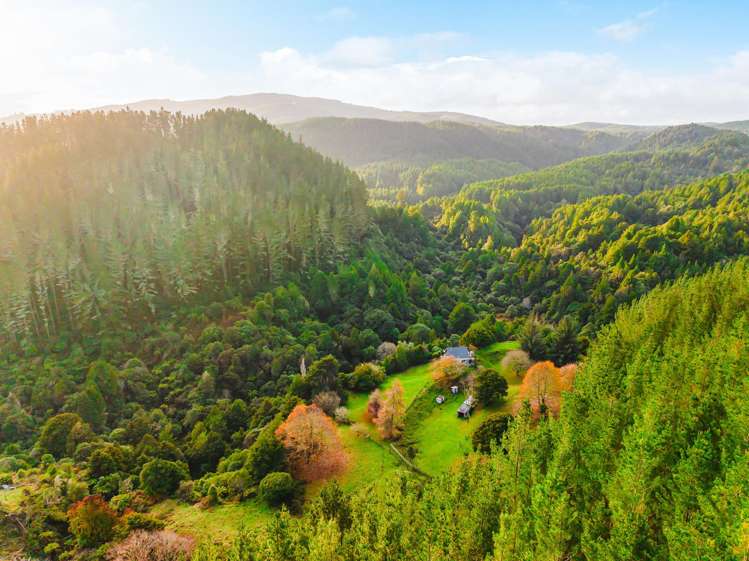 2005 Ongarue Stream Road Waimiha_22