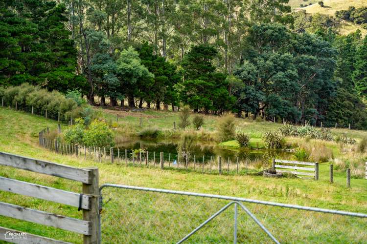 814 Mikimiki Road Mikimiki_18