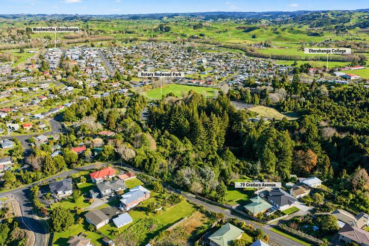 79 Gradara Avenue Otorohanga_20