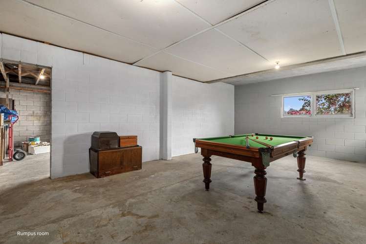 48 Esk Street Parkvale_8