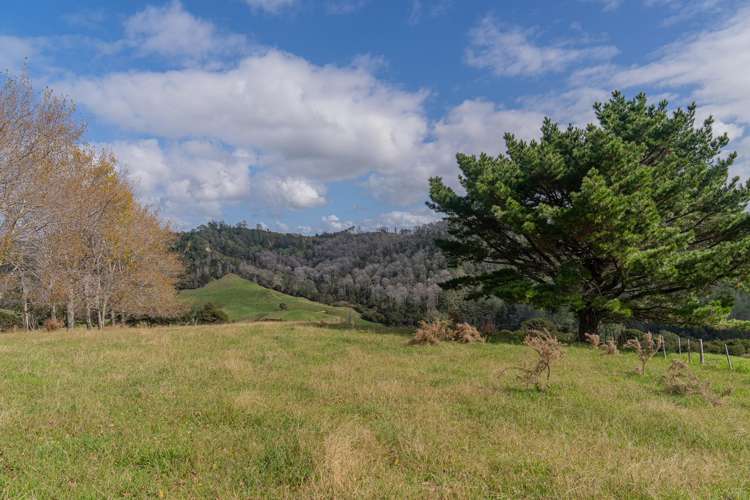 425n Boat Harbour Road Whenuakite_33