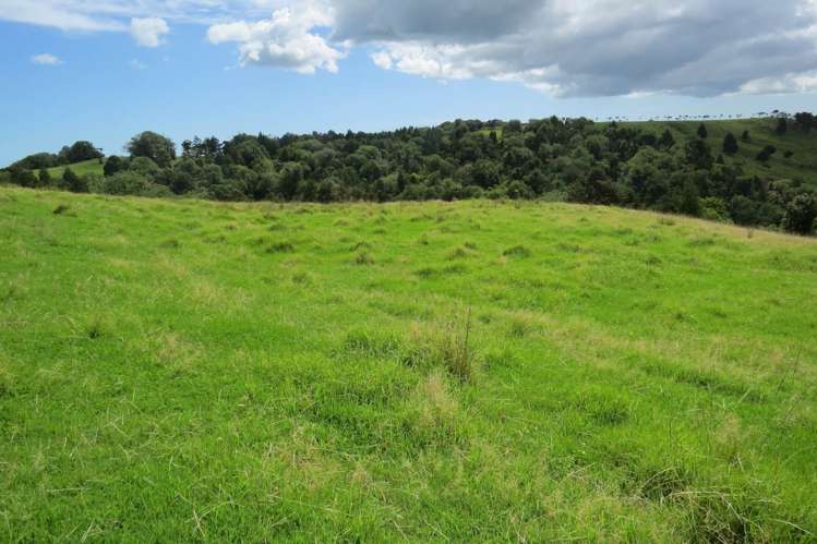 Church Road Kaitaia_11