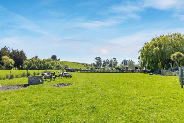 13 Queens Terrace Waimate_28