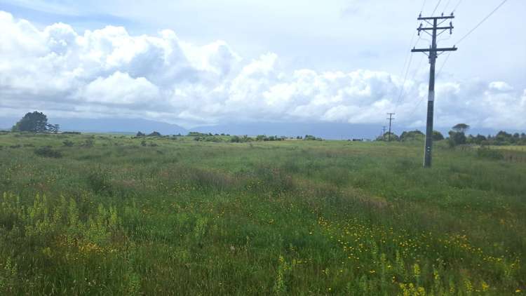 980 Wilsons Lead Road Cape Foulwind_4