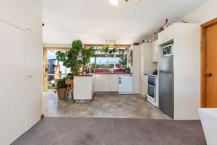 164 Grove Street Tinwald_5