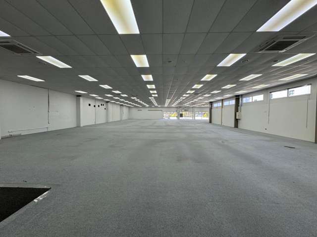 41 Riccarton Road Riccarton_3