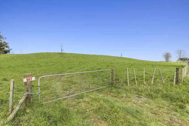 557 Wiltsdown Road Wiltsdown_1