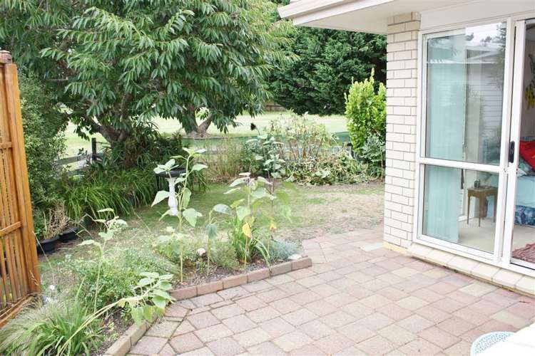 21 The Dividend Pauanui_15