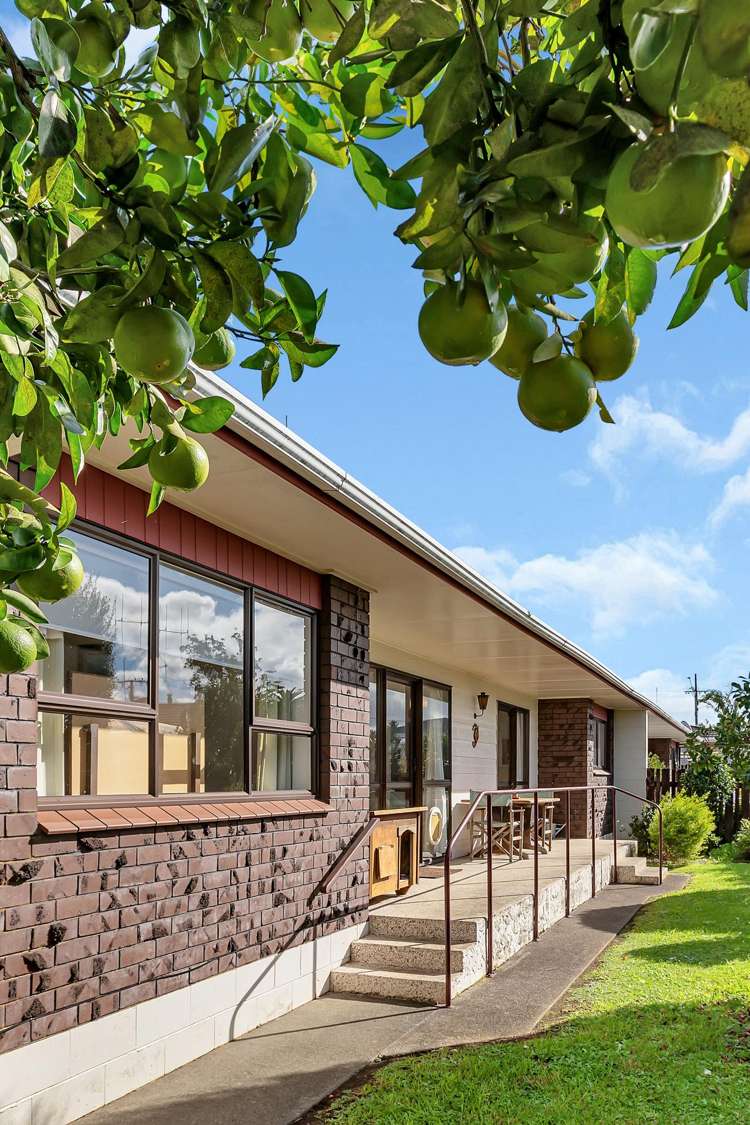 30c Elizabeth Street Kensington_21