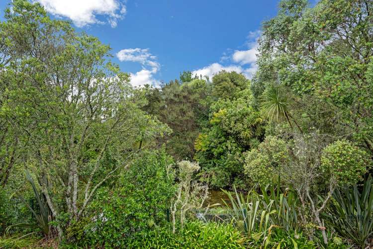 1/17 Charlenne Close Ranui_28