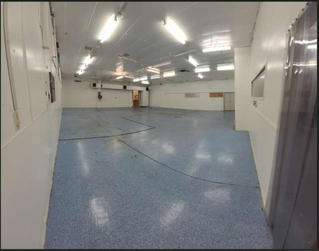 17 Exeter Street Levin_2