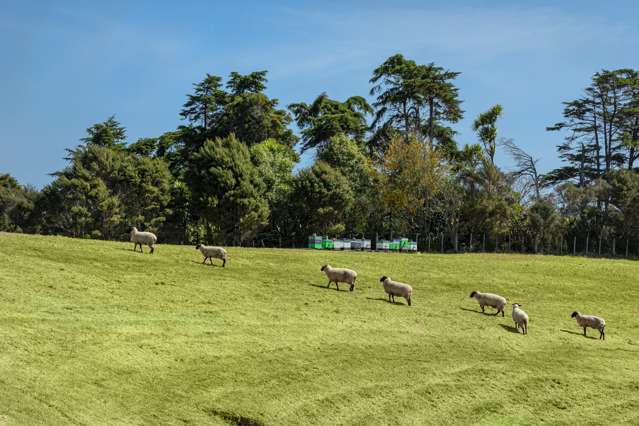 112B Mahoenui Valley Road Coatesville_1