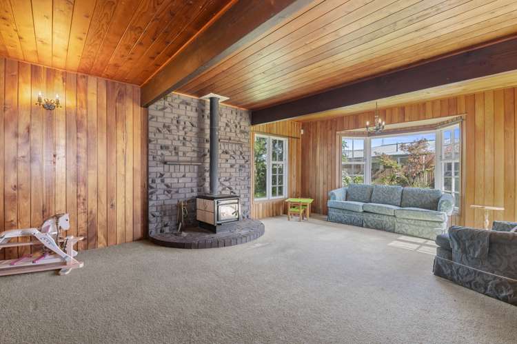 24 Mcdowell Street Springfield_7