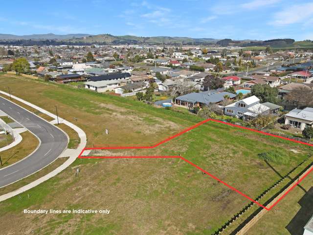 39 Hoki Avenue Morrinsville_1