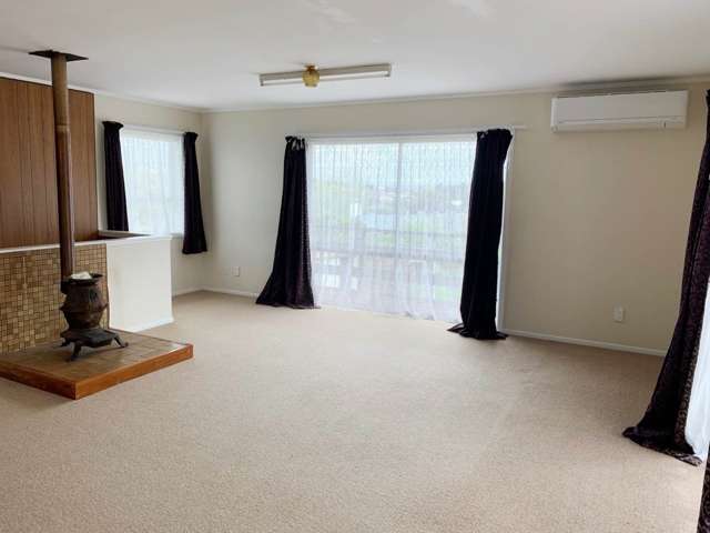 45 Penney Avenue Mount Roskill_3