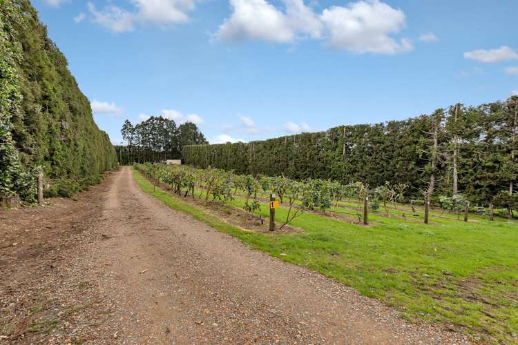 36 Elmsley Road Maungatapere_40