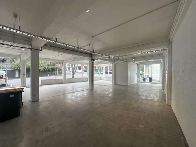 36 Karaka Street Eden Terrace_2