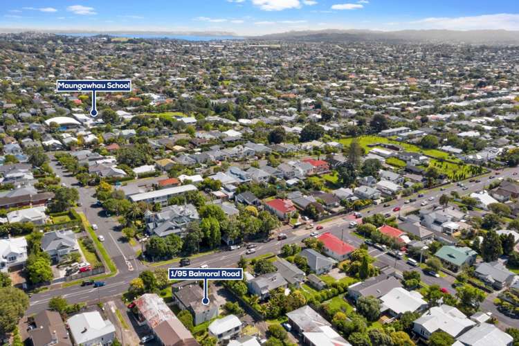 1/95 Balmoral Road Mount Eden_5