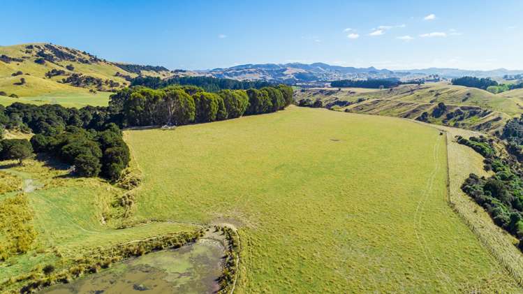 219 Te Kanuka Road Masterton_7
