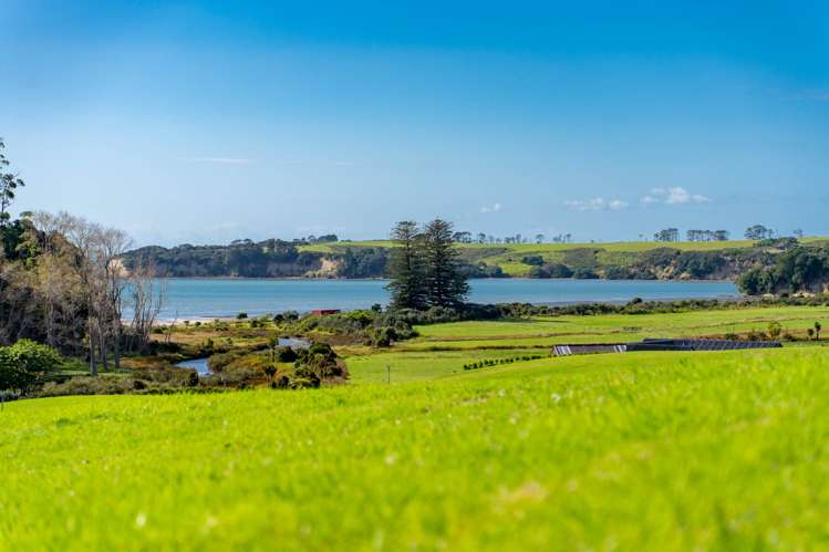 6 Taha Puke Road Okura Bush_11