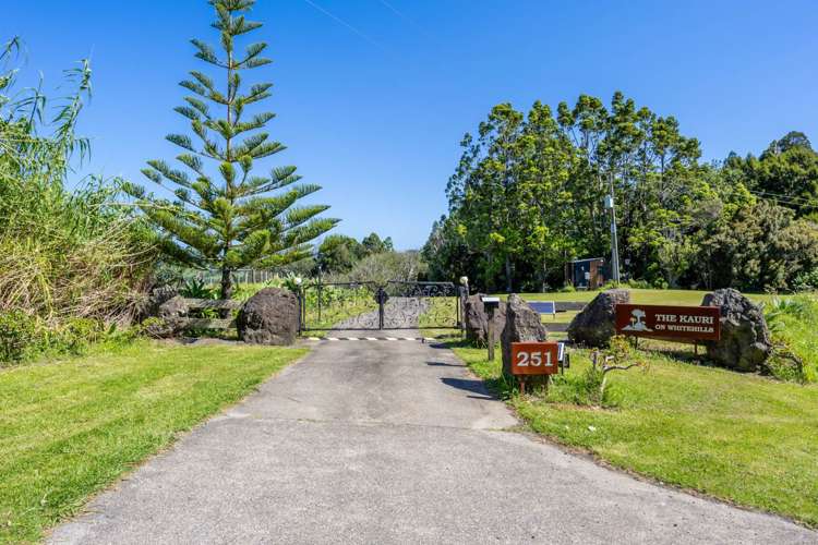 251 Whitehills Road Wainui_36