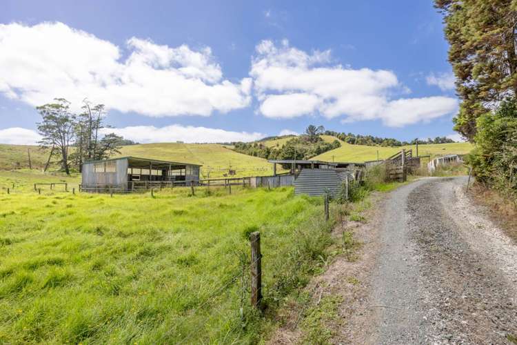 175 Wayby Station Road Wellsford_23