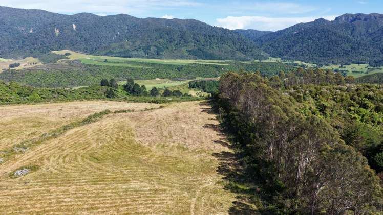 1419 Collingwood-Bainham Main Road Collingwood_14