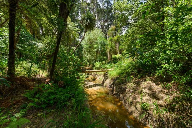 319 Pahiatua Aokautere Road Aokautere_8