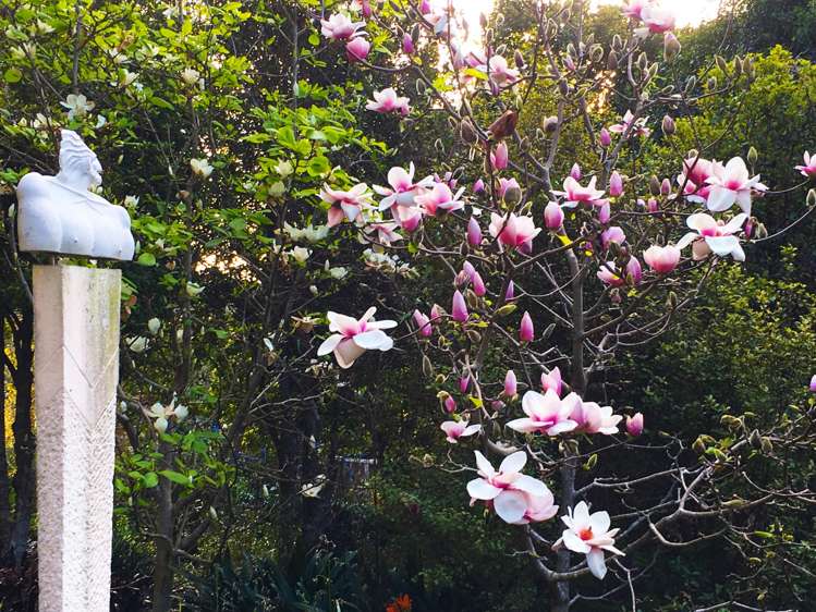 100 Margaret Reeve Lane Waiheke Island_35