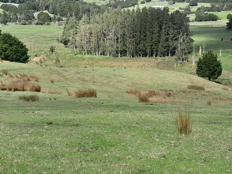 596 Waimate North Road Kerikeri_10