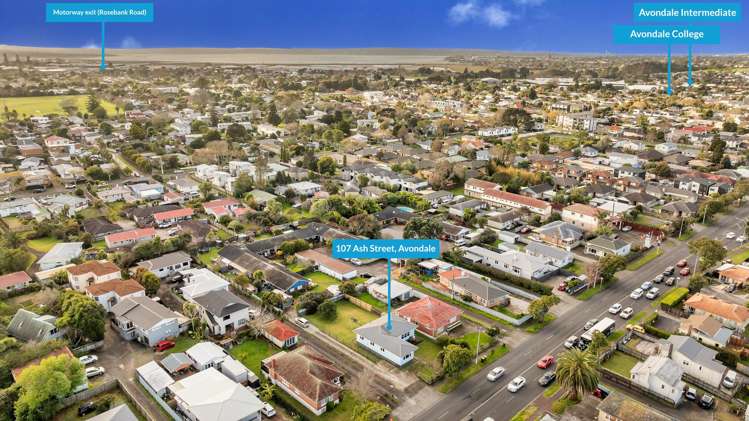 107 Ash Street Avondale_25