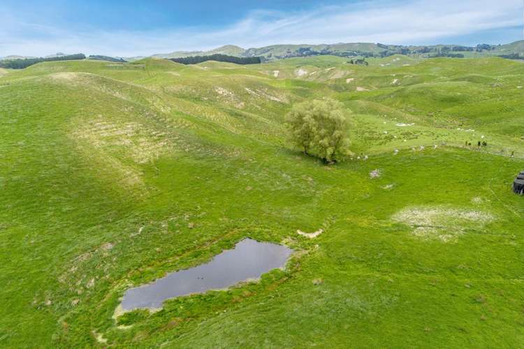 209 Pattison Road Waipukurau_30