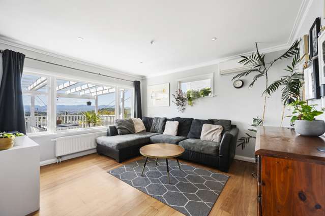 93b Farnham Street Mornington_4