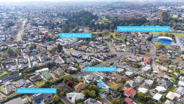 25 Carey Street Maeroa_3