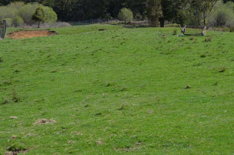 1539 Waitaanga Road Ohura_8