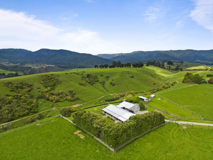 451 Table Flat Road Apiti_8