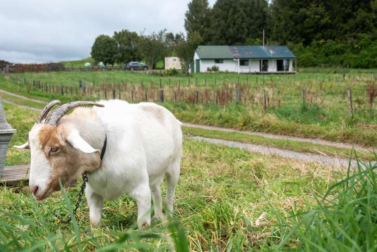 1091 Oturoa Road Hamurana_19