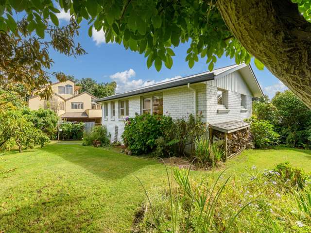 50a Harvey Street Tauranga South_4